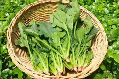 图片细节