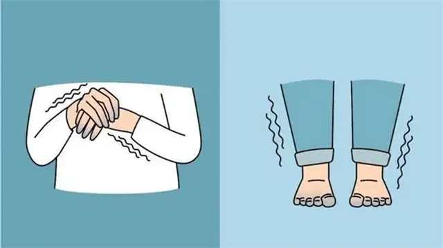 详细描述