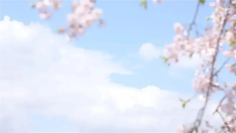 详细说明