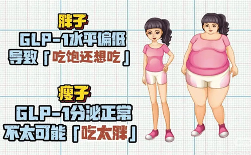 详细说明