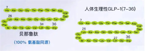 细节介绍