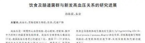详细介绍