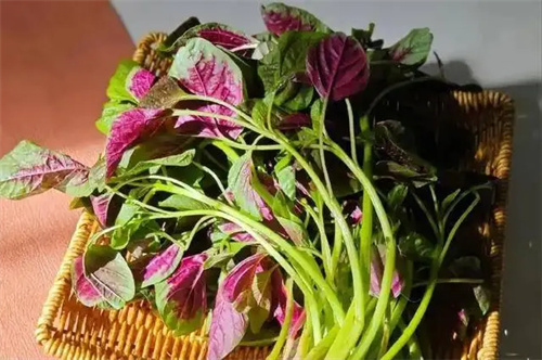 细节介绍