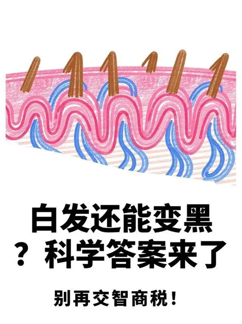 详细说明