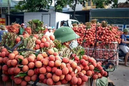 详细说明