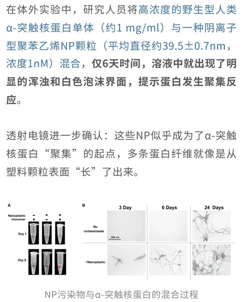 详细描述