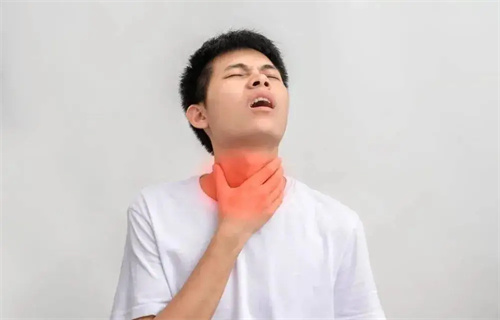 详细介绍