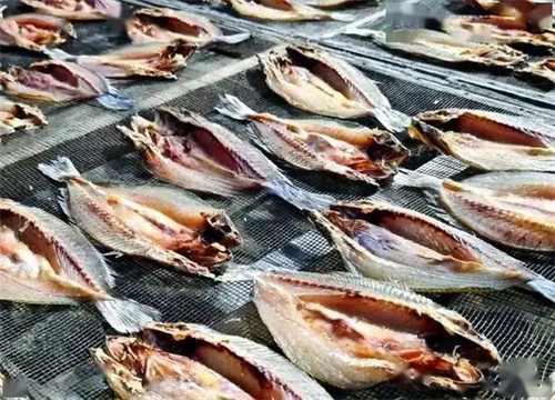 详细介绍