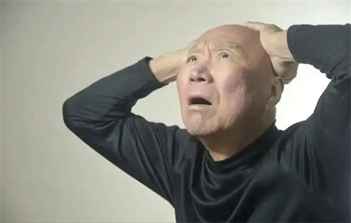 详细介绍