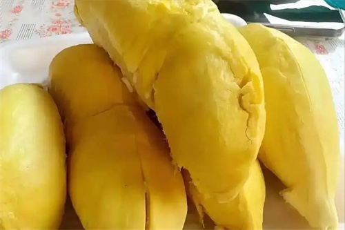 详细介绍