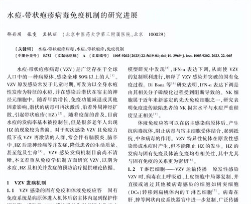 细节介绍