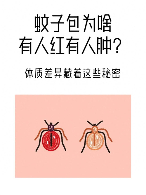 细节描述