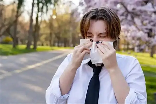 详细介绍