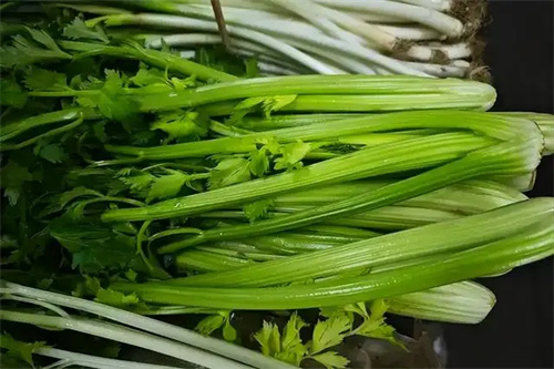 细节介绍