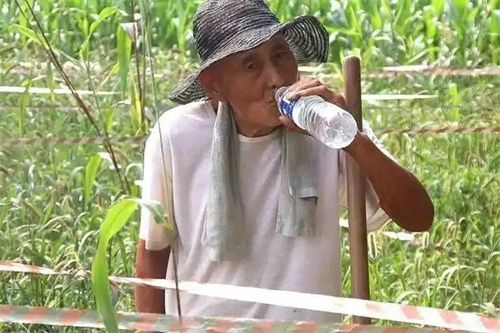细节呈现