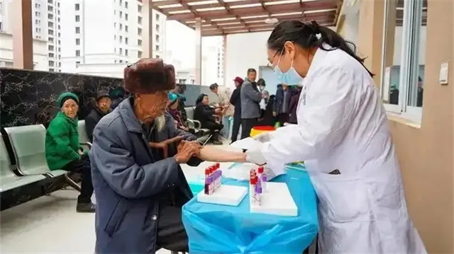 详细展示